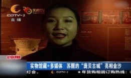 金沙免费视频在线观看,金沙免费视频在线观看，尽享精彩瞬间