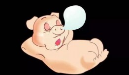 小胖猪是谁爆料的视频啊,独家爆料视频背后的故事